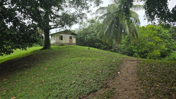 Loci_BluffBeach_Images_202412 Small cabin on hill surrounded by grass and jungle.